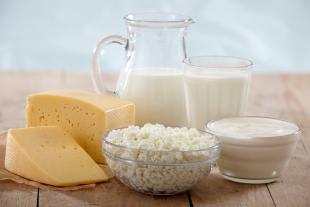 INTOLERÃ‚NCIA Ã€ LACTOSE OU ALERGIA AO LEITE DE VACA