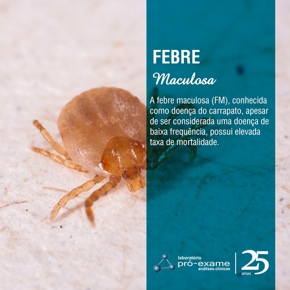 Febre Maculosa